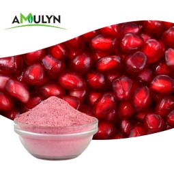 Pomegranate Bark Extract Powder Ellagic Acid