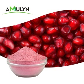 Pomegranate Bark Extract Powder Ellagic Acid
