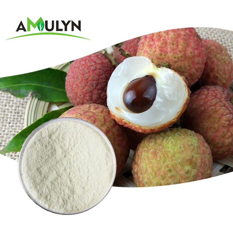 Litchi Fruit Powder Litchi Powder Pure Nature With Top Grade