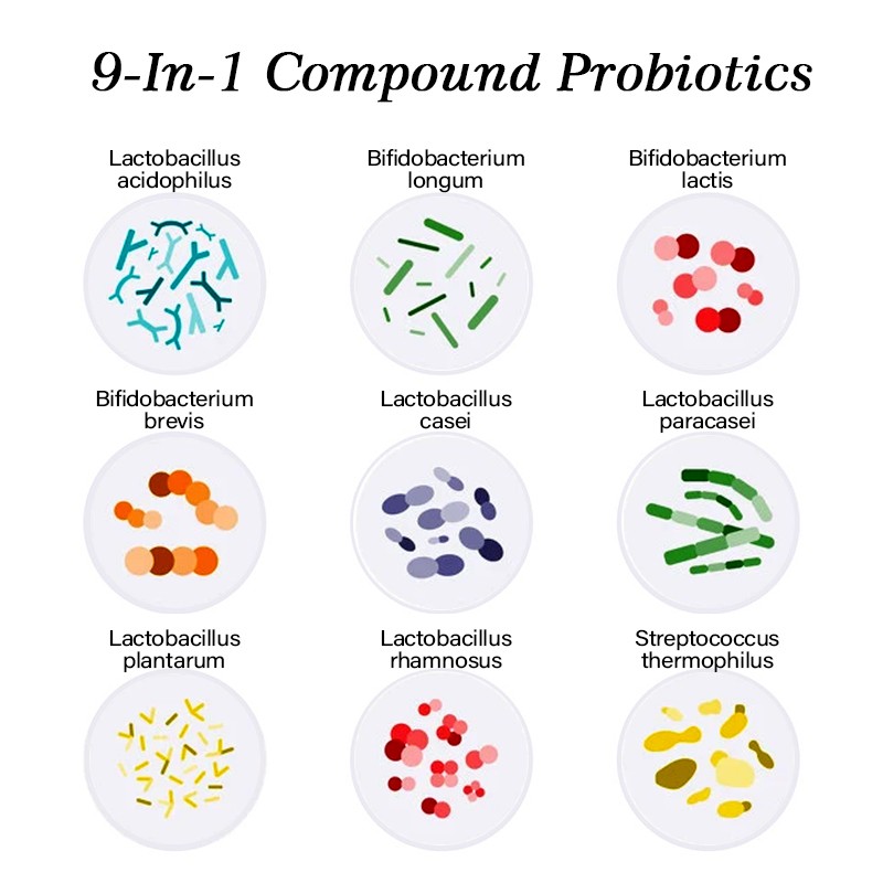 AMULYN Supply Nine-Strains Complex Probiotic 9-In-1 Compound Probiotics Powder 10-100 Billion CFU/g