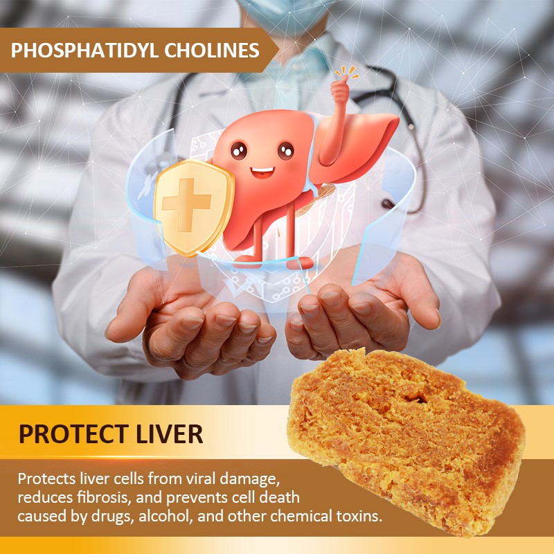 AMULYN Non-Gmo Soy Lecithin Soy Phosphatidylcholine PC Powder