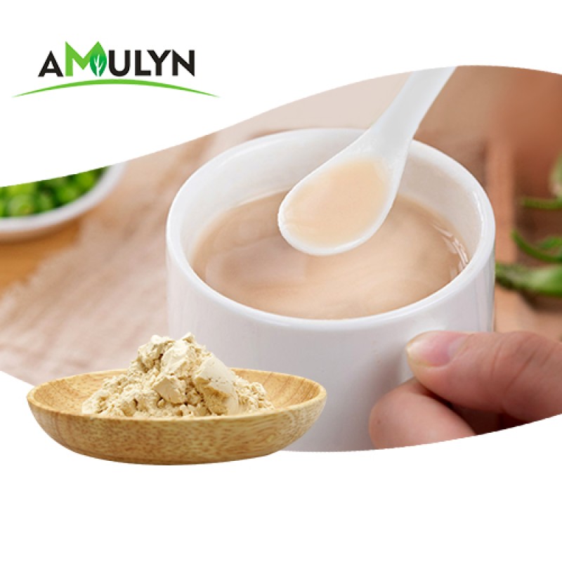 Chocolate Flavor Pea Protein Powder Hydrolyzed Pea Protein Pea Protein Isolate Powder