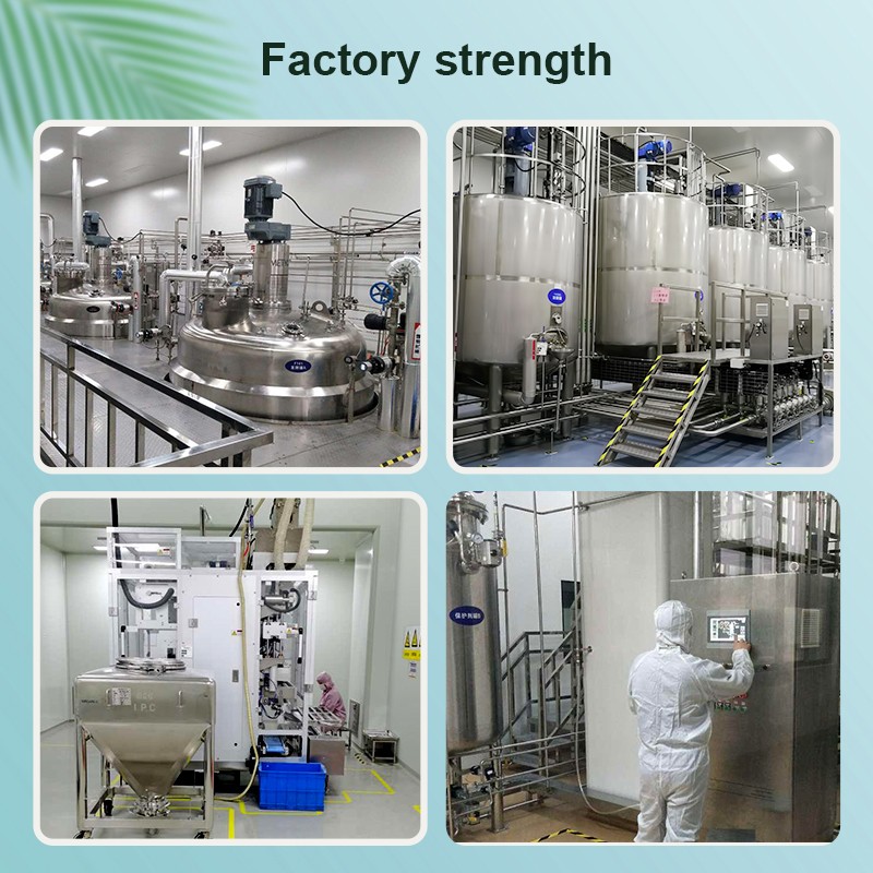 AMULYN Gluten Free No Preservative Low Fat Coconut Milk Powder