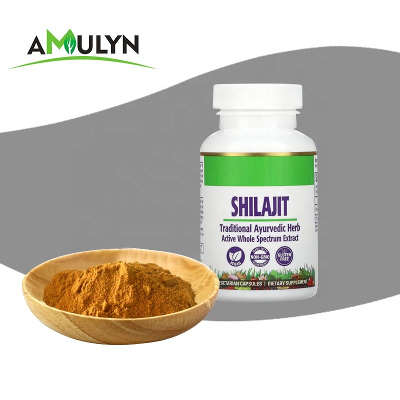 AMULYN Pure Natural Shilajit Extract Fulvic Acid Powder/Shilajit Capsules
