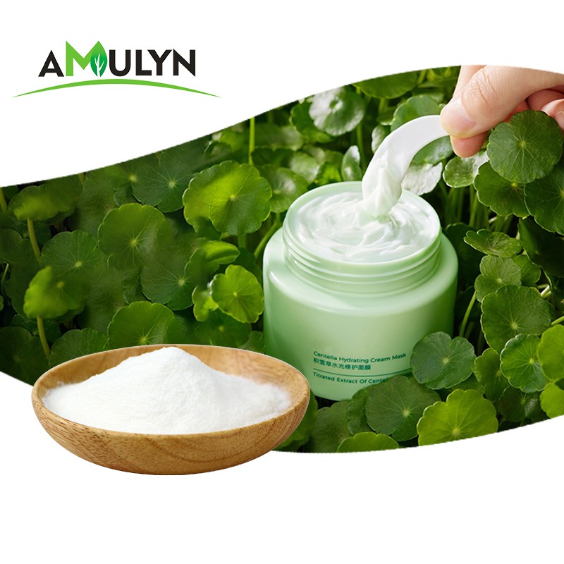 Supply 70% Asiaticosides Centella Asiatica Extract Powder Vacuum-Packed in Plastic Container Mason Jar for Cosmetics Ingredients