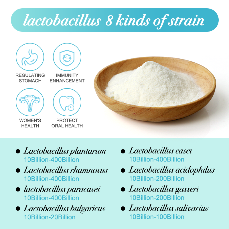 AMULYN Supply Freeze-Dried Lactobacillus Paracasei Probiotics Powder