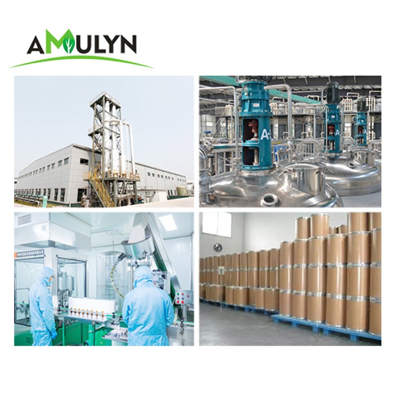 Supply Hawthorn Leaf Extract Powder 10:1 With Top Quality