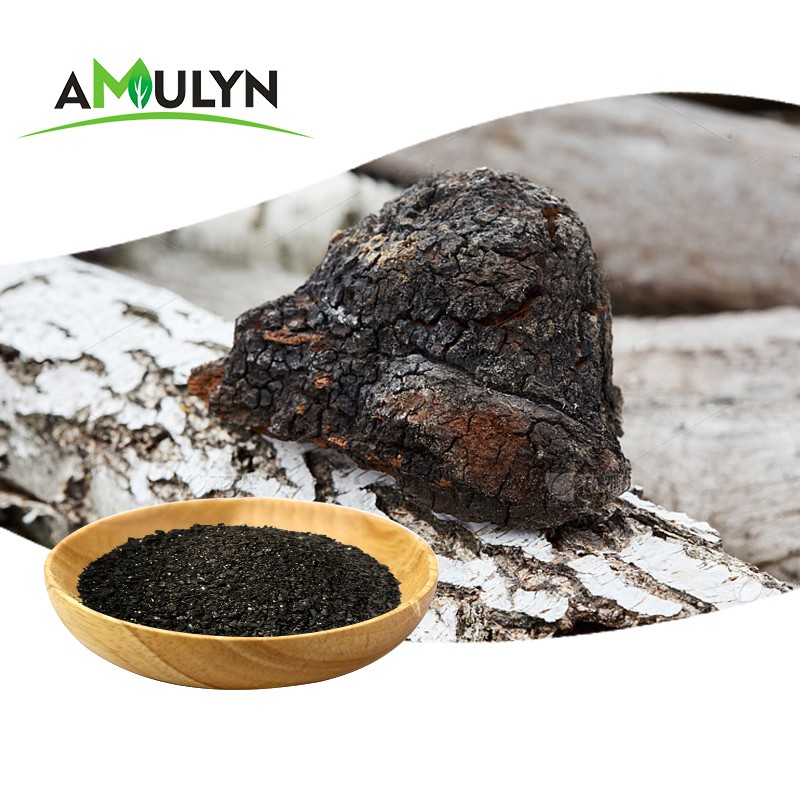 AMULYN Supply Wholesale Food Grade Chaga Black Gold Powder Tea Bags Natural Chaga Extract Granules