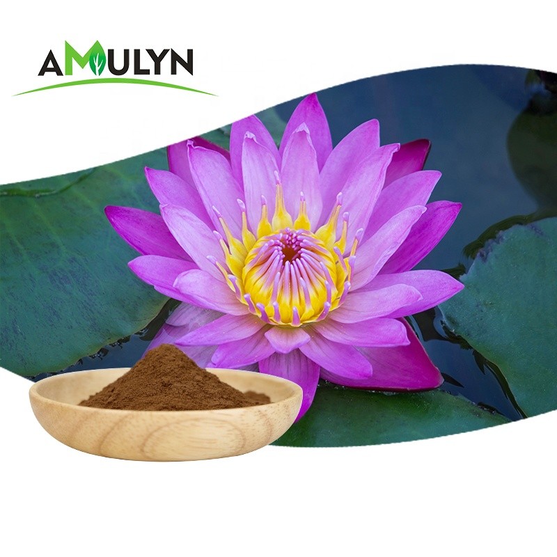 AMULYN Pure Kanna Powder Kanna Sceletium Tortuosum Extract 50:1,100:1