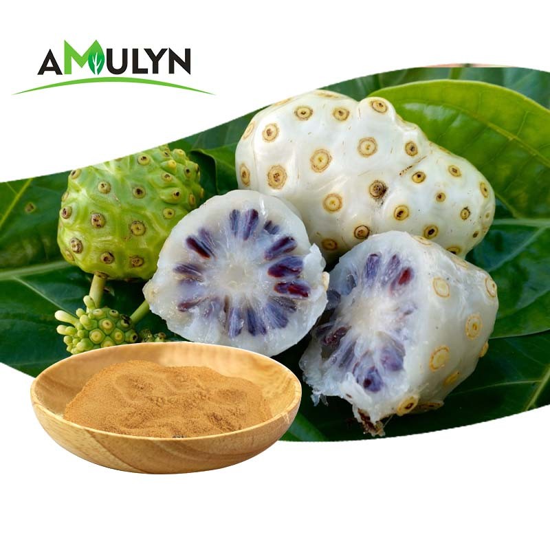 Amulyn Factory Supply Food Grade Noni Extract Powder Best Price Natural Noni Fruit Juice Powder Vitamin Available Bottle Drum