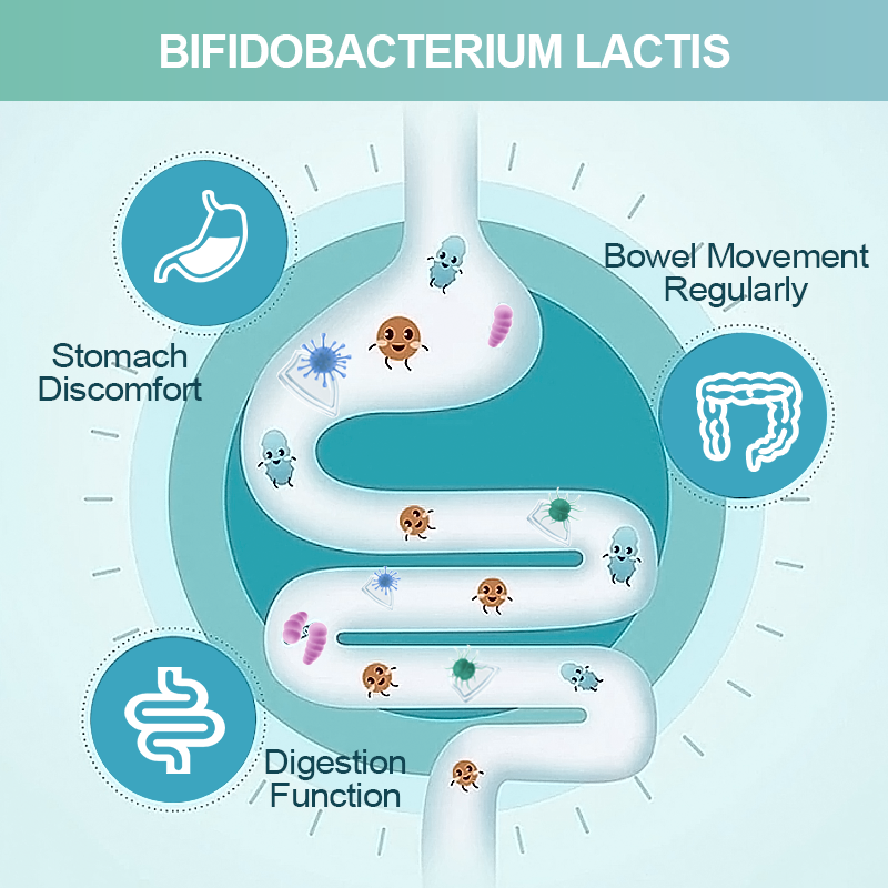 AMULYN Food Grade Probiotics Powder Bulk Freeze Dried Bifidobacterium Lactis White Powder for Gut Health