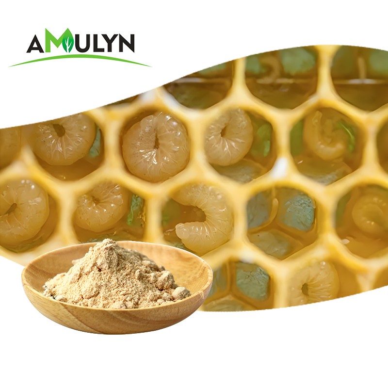 AMULYN Manufacturers Supply Natural Supplements Lyophilized Queen Bee Larva Powder