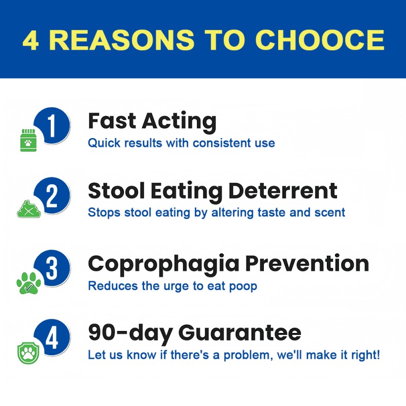 Digestive Boost Chews Manufacturer - OEM No Poo Soft Chews Immune