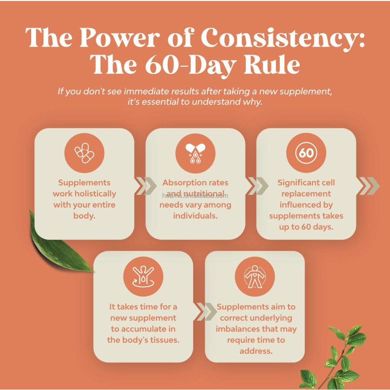 Lion's Mane Capsules Factory - OEM Nootropics Memory Brain Boost