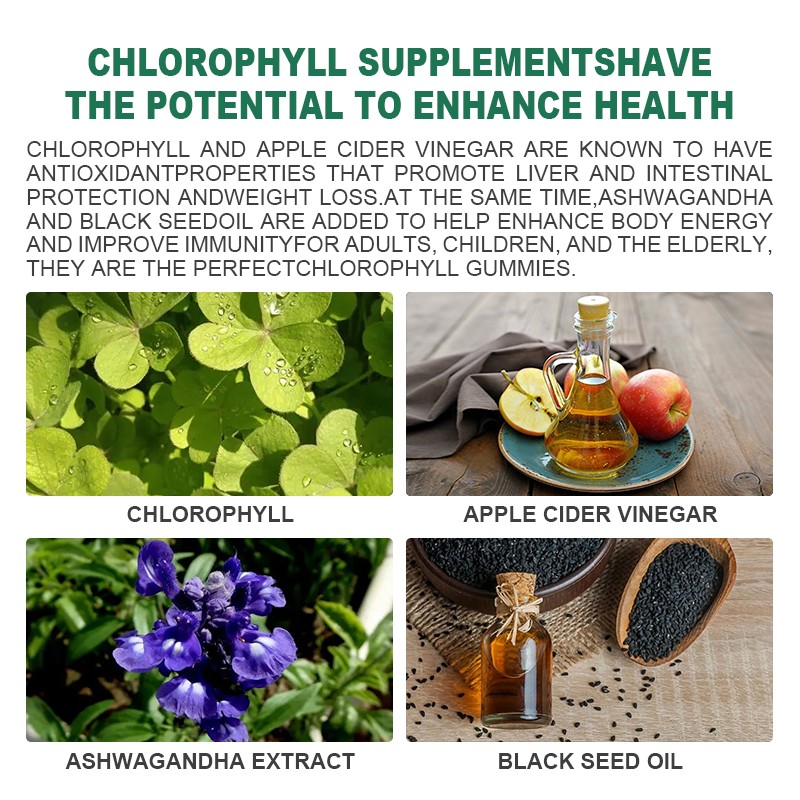 Chlorophyll Gummies Factory - OEM Sugar Free Detox Immune