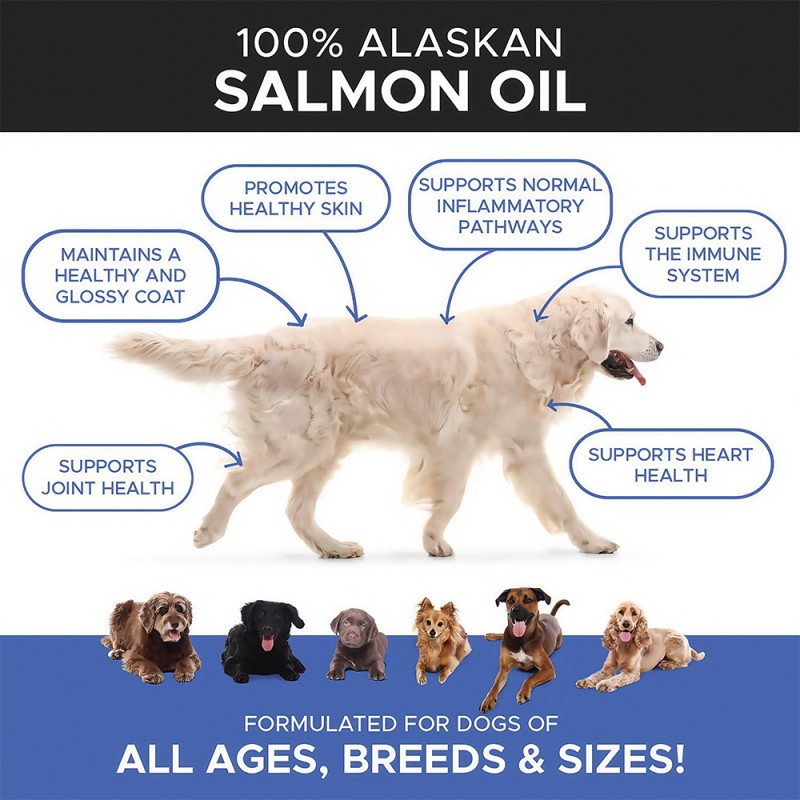 Omega 3 Chews Manufacturer - OEM Fish Oil Skin Coat Pet Nutrition
