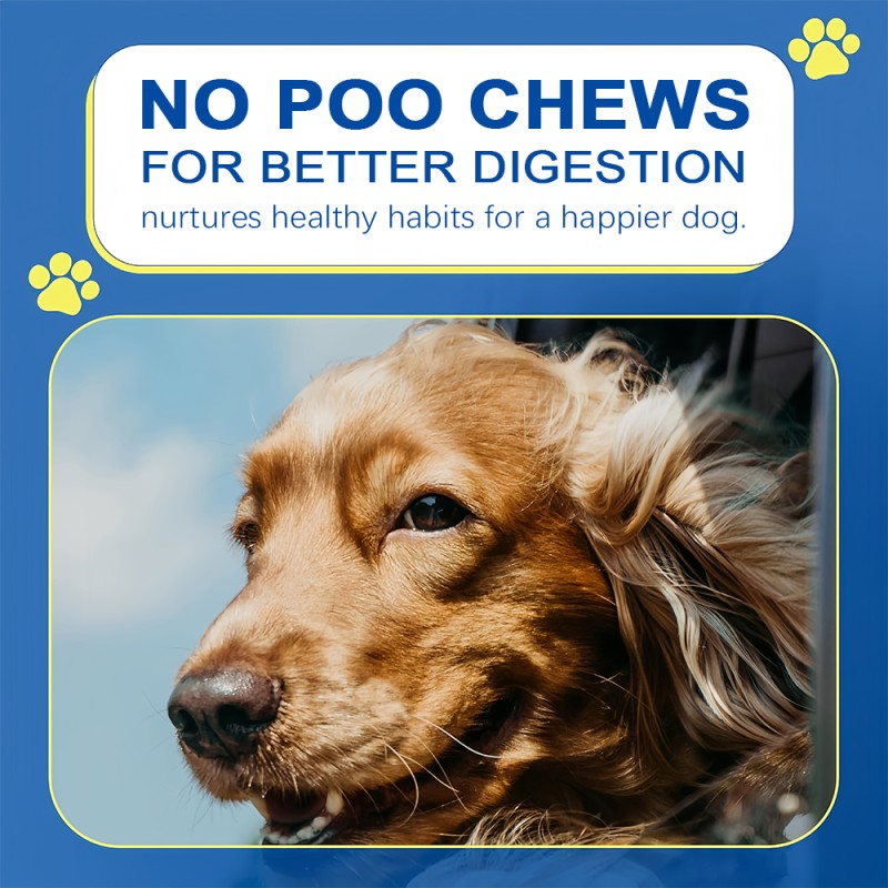 Digestive Boost Chews Manufacturer - OEM No Poo Soft Chews Immune