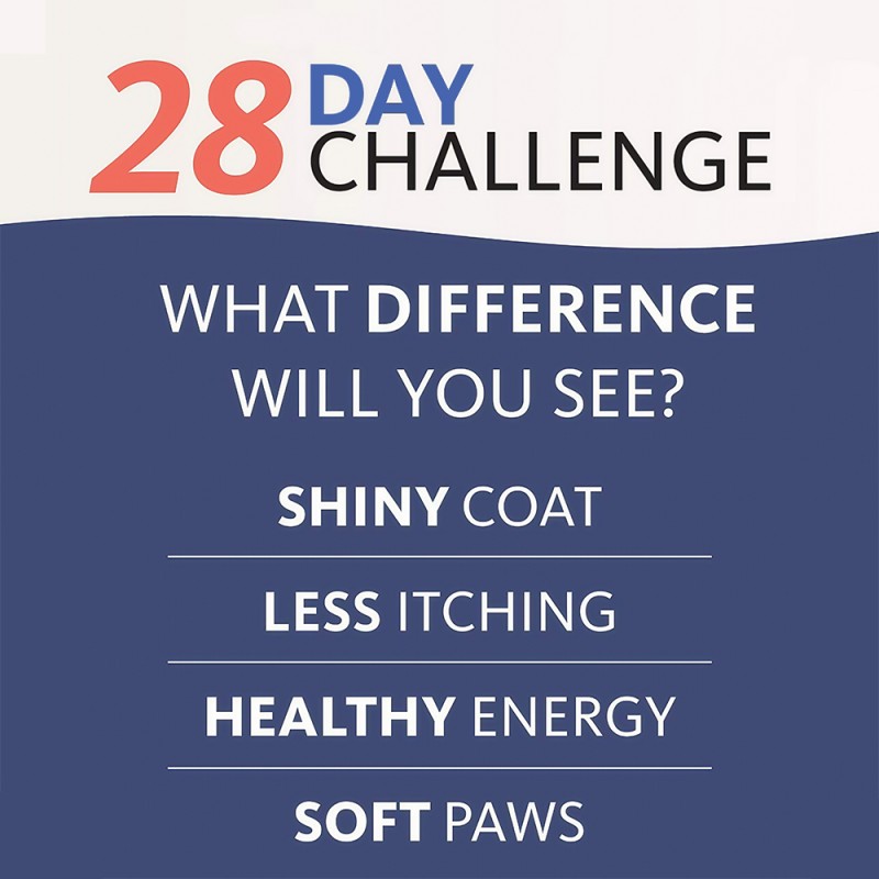 Omega 3 Chews Manufacturer - OEM Fish Oil Skin Coat Pet Nutrition