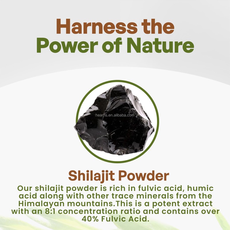 Shilajit Powder Factory - OEM Organic Natural GMP Certified