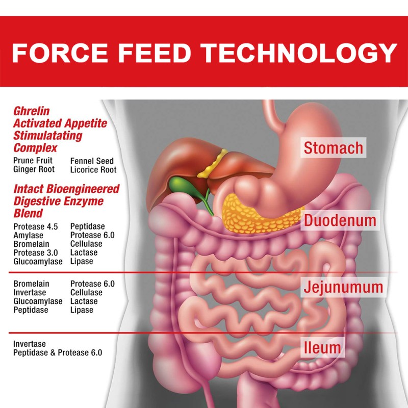 Appetite Booster Syrup Factory - OEM Weight Gain Stimulant Herbal