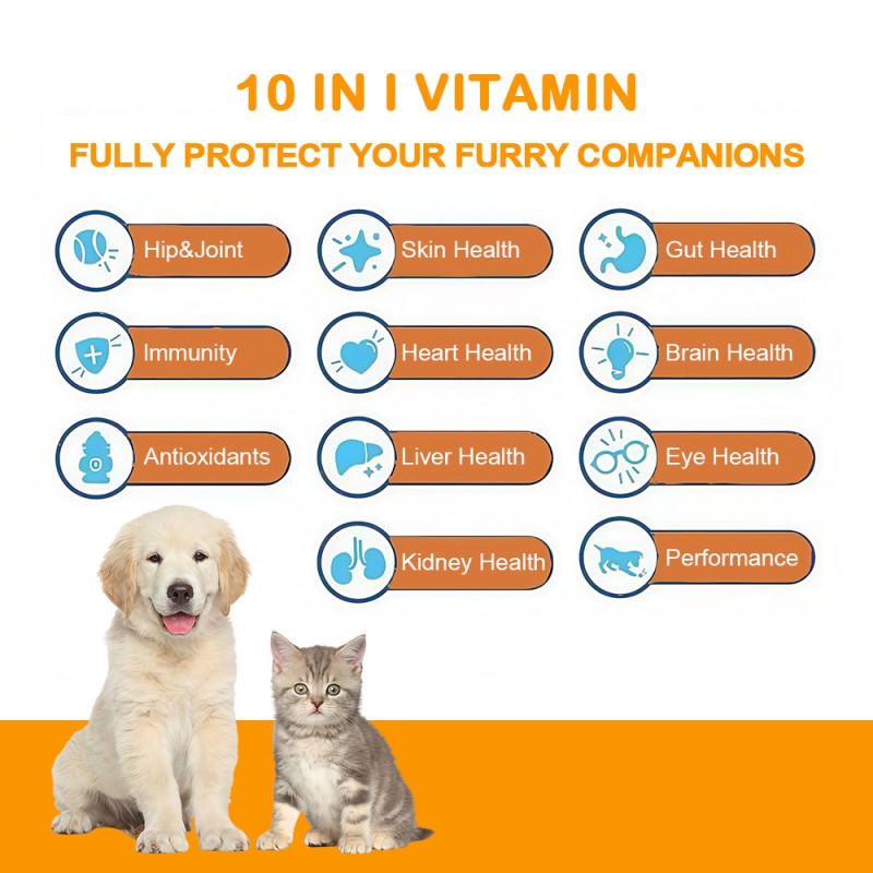 Multivitamin Chews Factory - OEM Mineral Soft Chews Pet Health