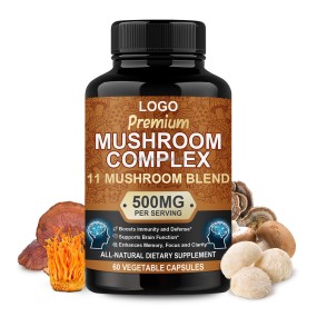 Lion's Mane Capsules Factory - OEM Nootropics Memory Brain Boost