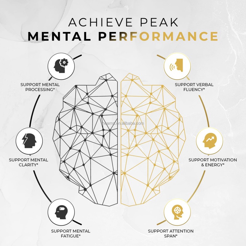 Nootropic Capsules Manufacturer - OEM L-Theanine Bacopa Focus Memory