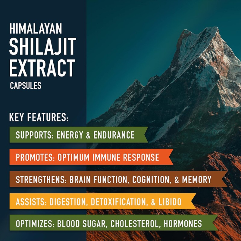 Shilajit Capsules Manufacturer - OEM Energy Boosting Immune Support