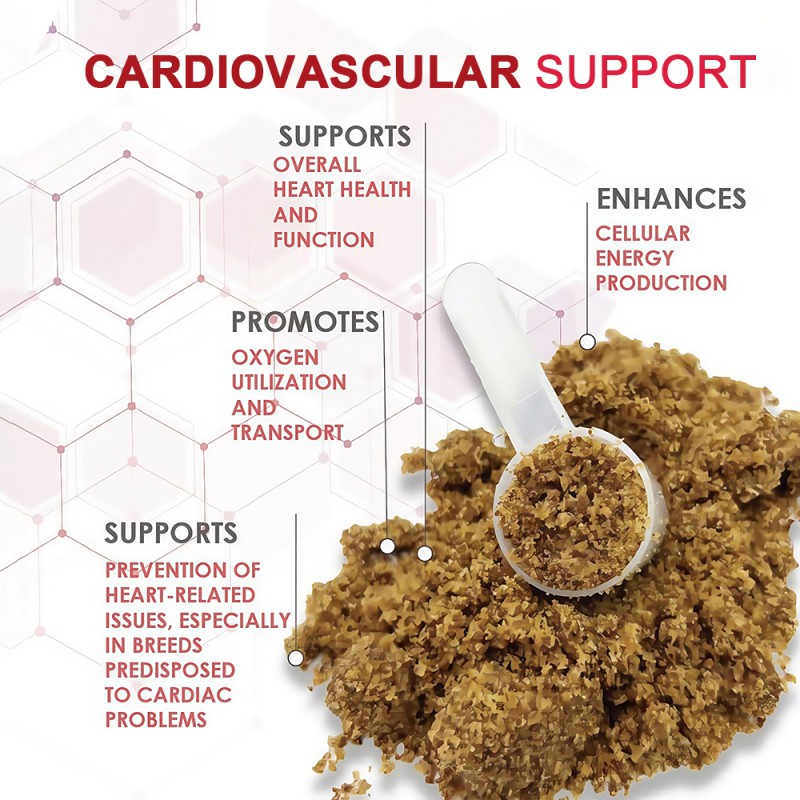 Cardiovascular Chews Factory - OEM Heart Health Grain Free Dog