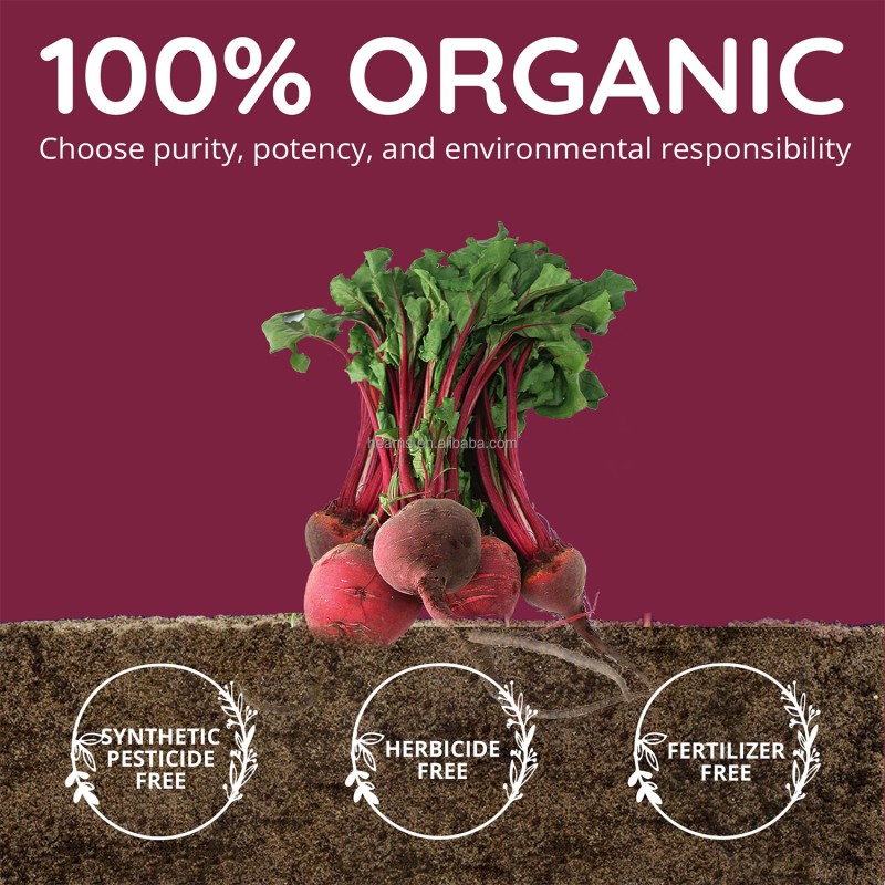 Beetroot Capsules Manufacturer - OEM Red Beet Energy Blood Health