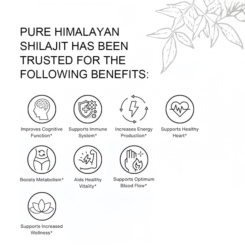 Shilajit Gummies Supplier - OEM Organic Gold Fudge Adult