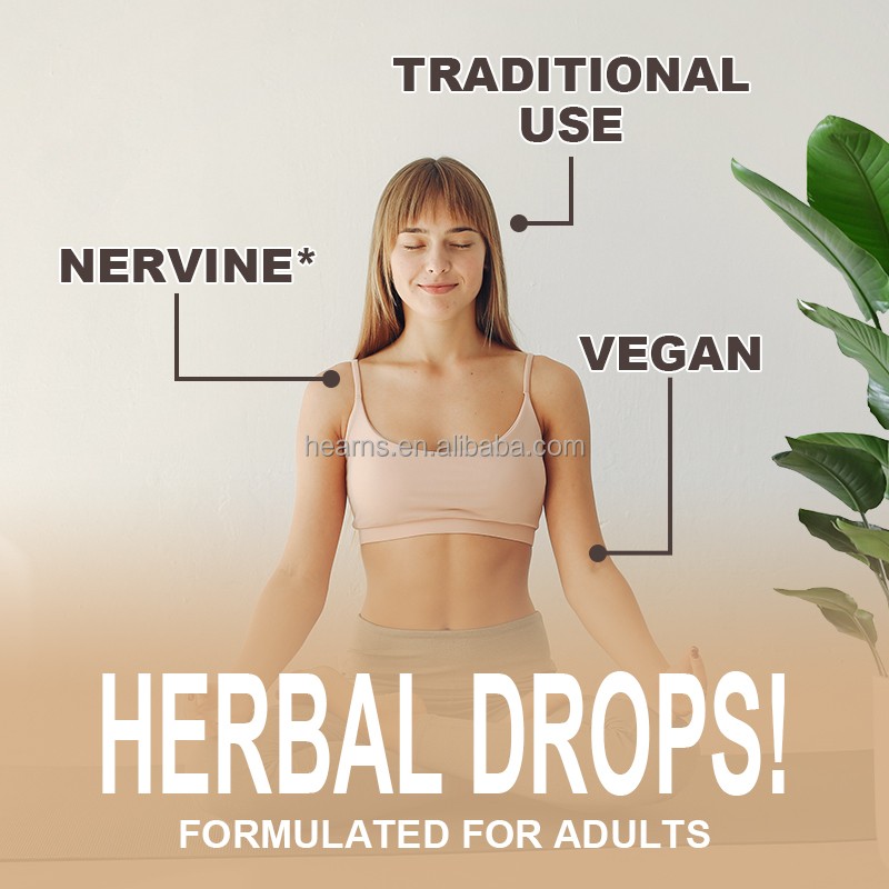 Lion's Mane Drops Manufacturer - OEM Mushroom Extract Brain Boost