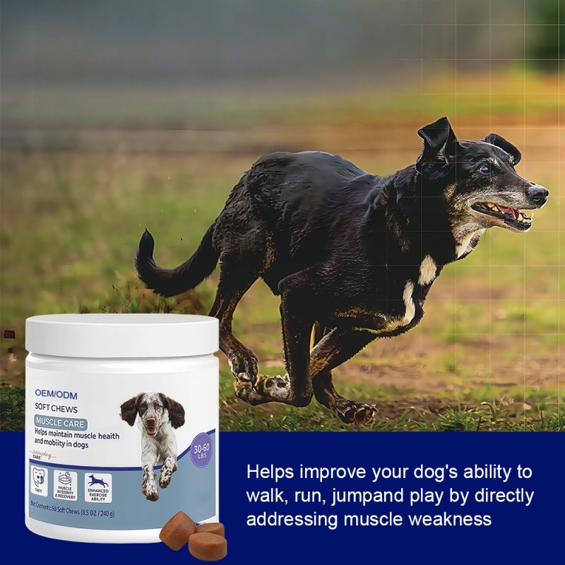 Muscle Building Chews Supplier - OEM Dog Supplement Gain Health Care