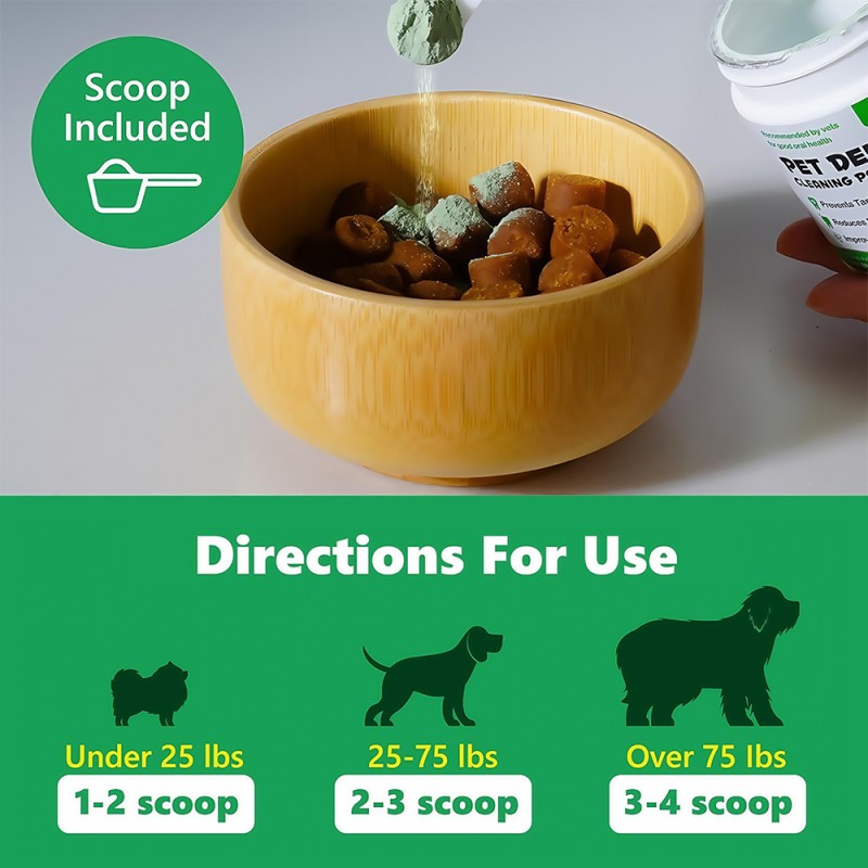 Dental Care Powder Factory - OEM Green Tea Extract Plaque Control