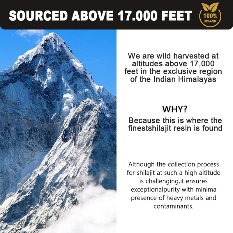 Shilajit Resin Paste Factory - OEM 100% Pure Fulvic Acid