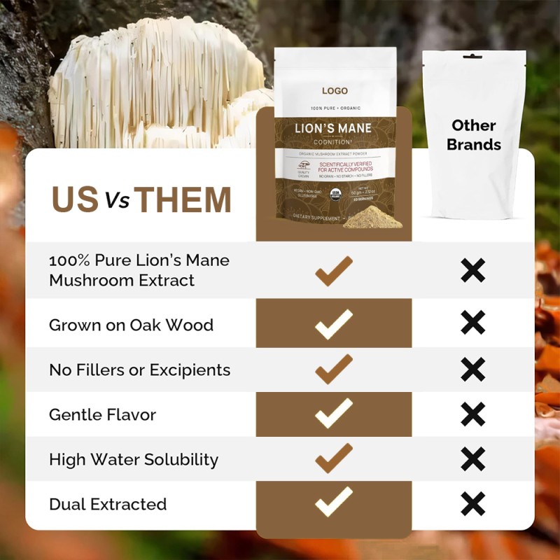Lion's Mane Powder Manufacturer - OEM Mushroom Extract Brain Power