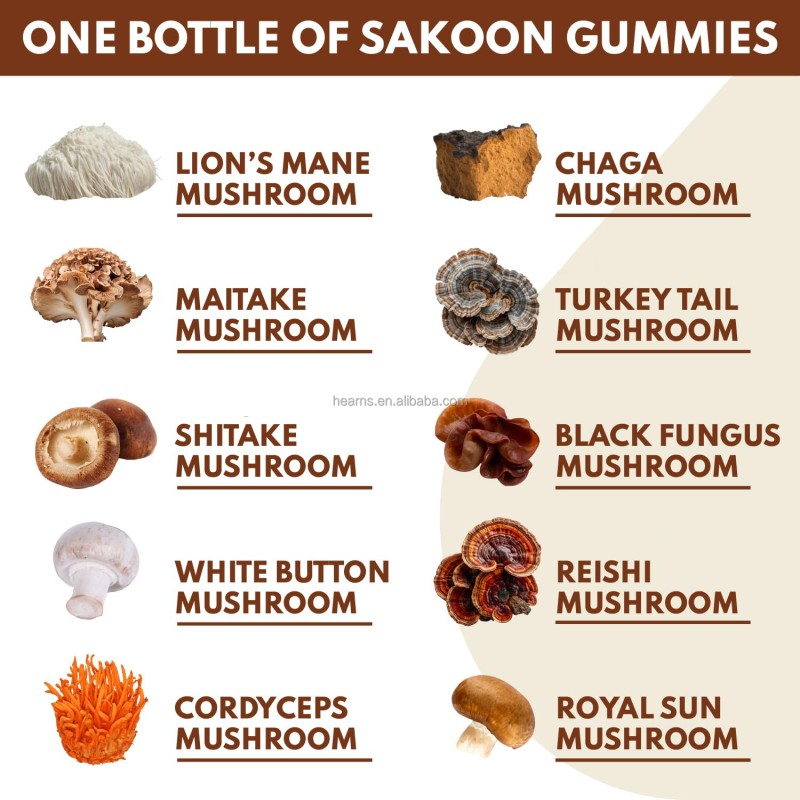 Lion's Mane Gummies Supplier - OEM Complex Brain Boost Herbal