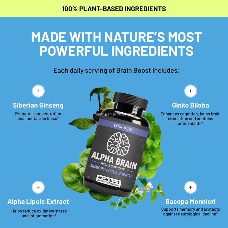 Nootropic Capsules Manufacturer - OEM L-Theanine Bacopa Focus Memory