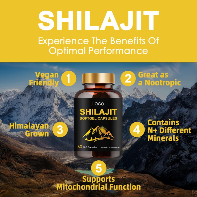 Shilajit Softgels Factory - OEM Energy Immune Support Adult