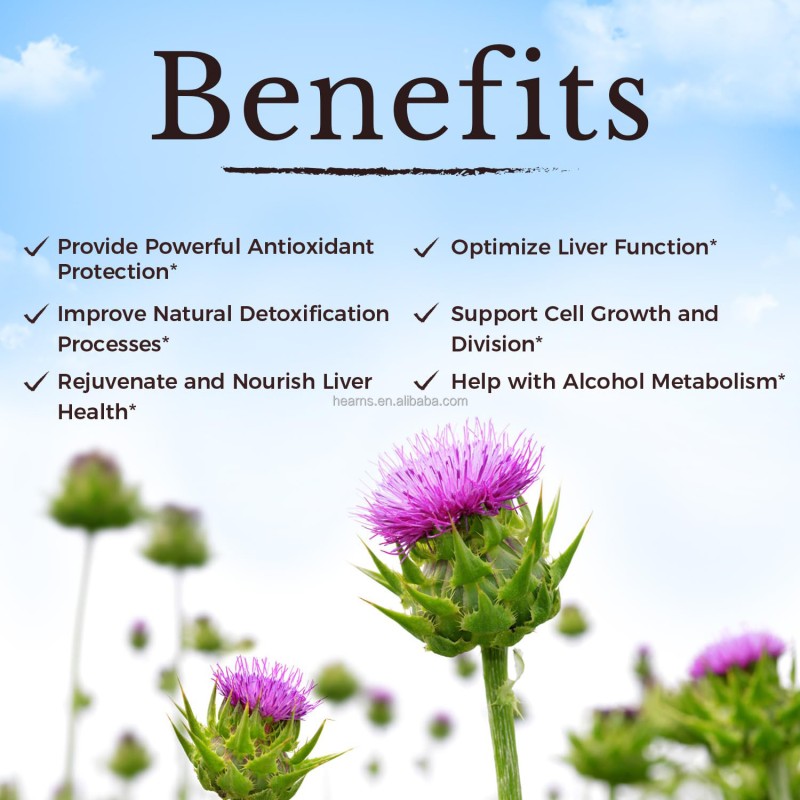 Milk Thistle Capsules Supplier - OEM Herbal Cholesterol Liver Detox