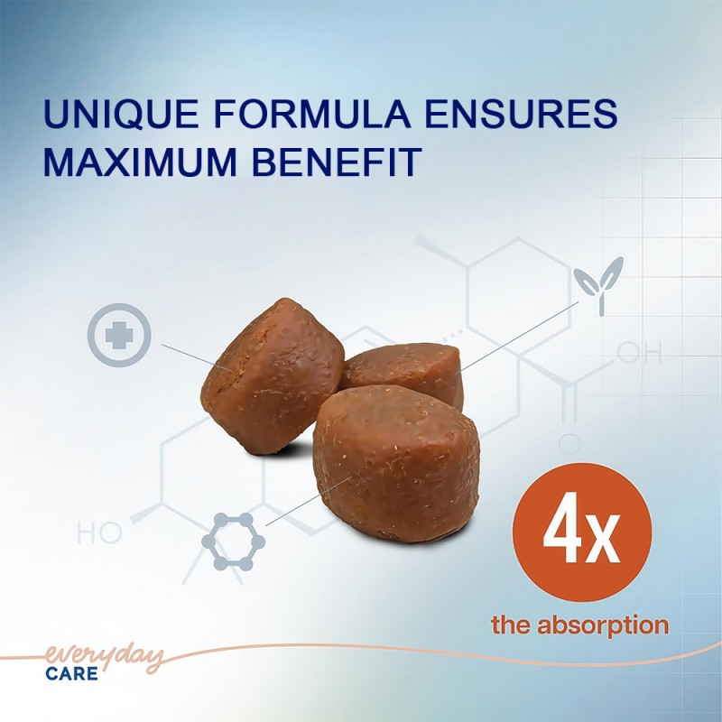 Muscle Building Chews Supplier - OEM Dog Supplement Gain Health Care