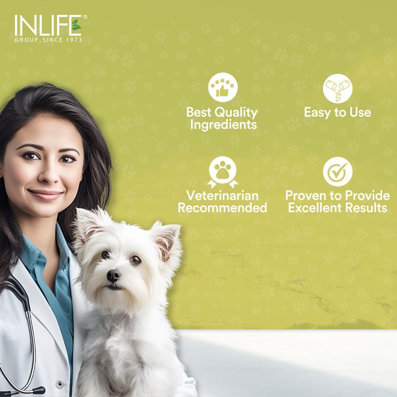Multivitamin Supplement for Dogs - OEM Health Care Tablets Supplier