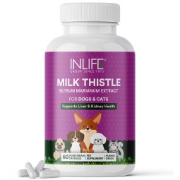 Milk Thistle Capsules for Pets - OEM Immune Support Supplement Factory