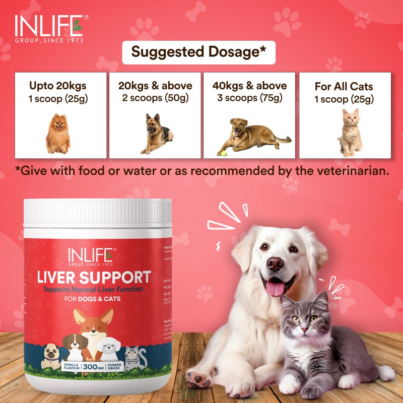 Liver Support Powder for Pets - Custom Detox Supplement Factory