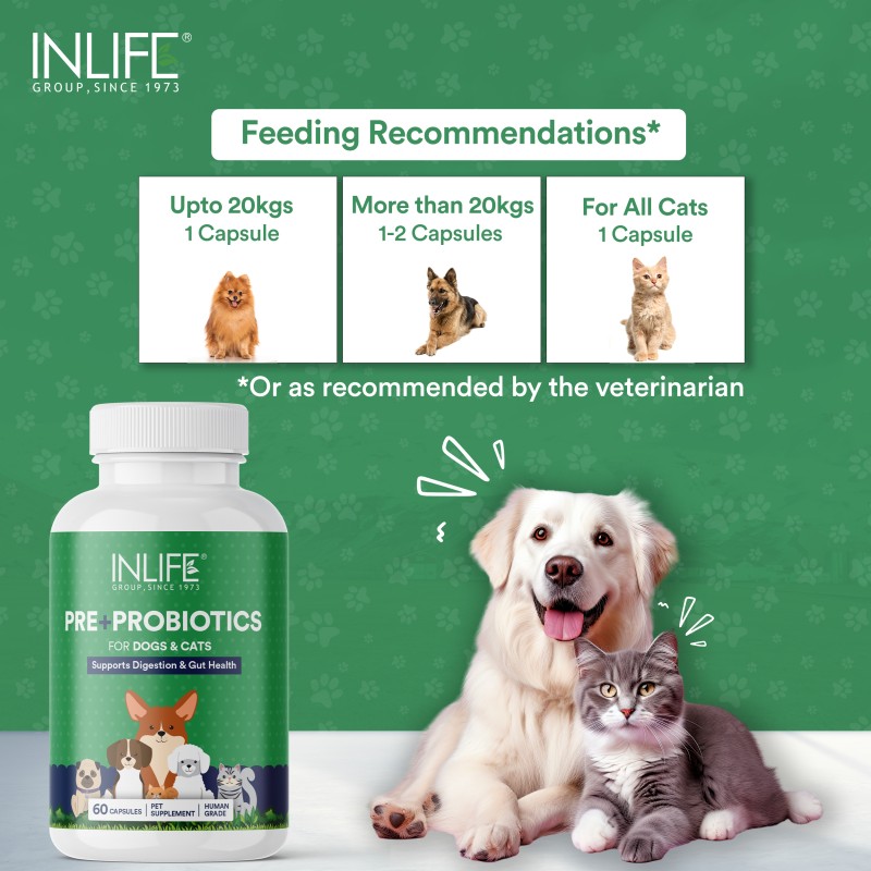 Probiotics for Pets - Digestive Health Supplement Manufacturer