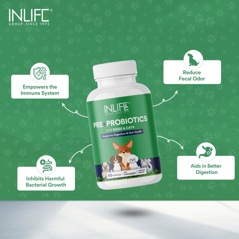 Prebiotic Probiotic for Pets - Digestive Health Capsules Supplier
