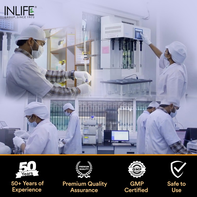 Melatonin Tablets - Vegetarian Sleep Supplement Manufacturer