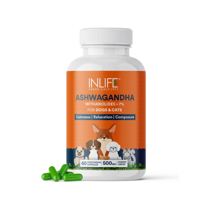Ashwagandha Capsules for Pets - Custom 500mg Supplement Supplier