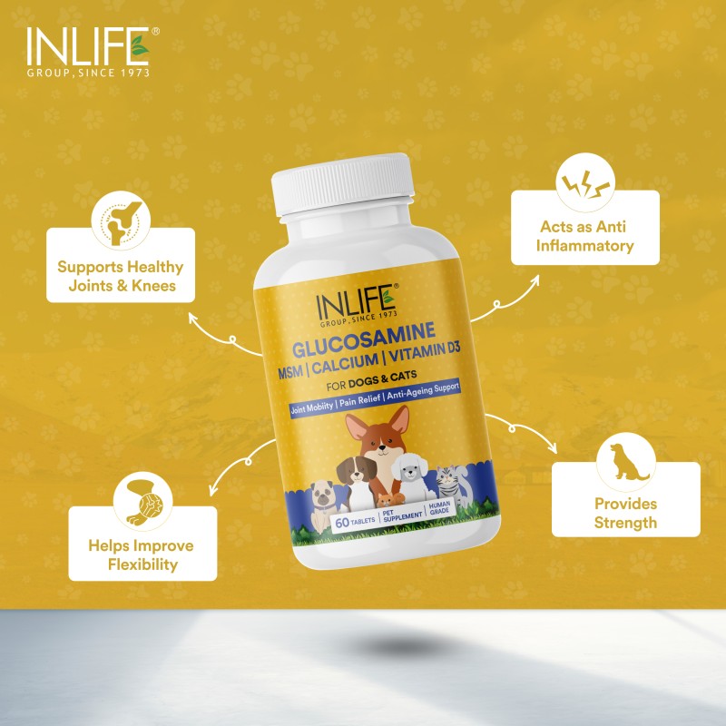 Glucosamine Tablets for Pets - OEM Joint Support Supplement Supplier