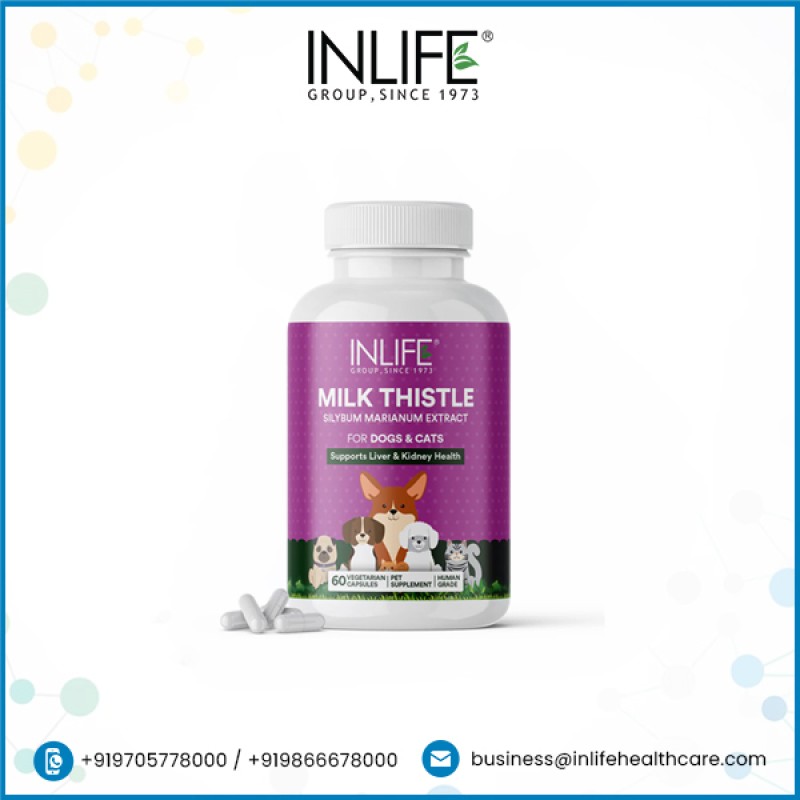 Milk Thistle Capsules for Pets - OEM Immune Support Supplement Factory